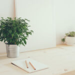 How Plants Increase Workplace Productivity